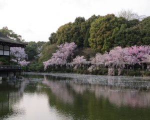 平安神宮　昼ノブ